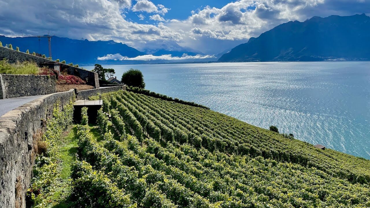 Geneva Vineyard Tour